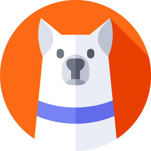 Siberian husky